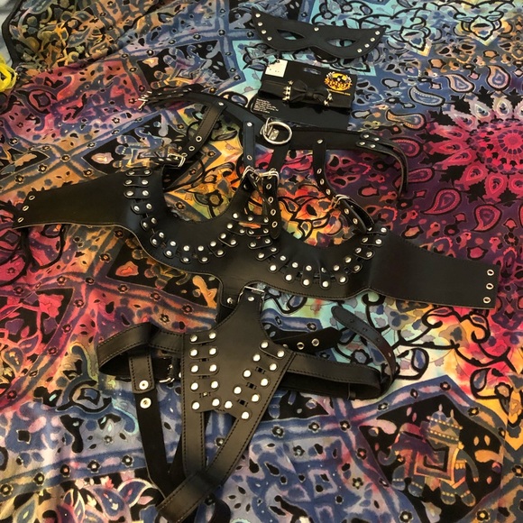 Other - 🎃 Dominatrix Harness Halloween Costume